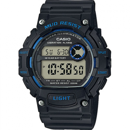 CASIO TRT-110H-2AVEF